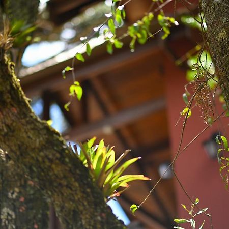 Badenwein Villa Campos do Jordao Dış mekan fotoğraf